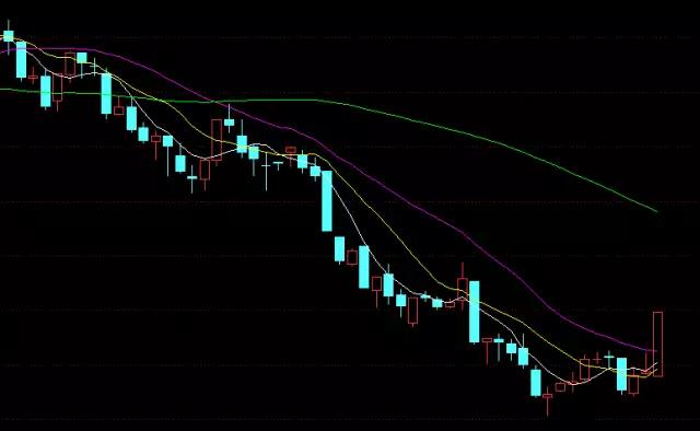微信图片_20170616075355
